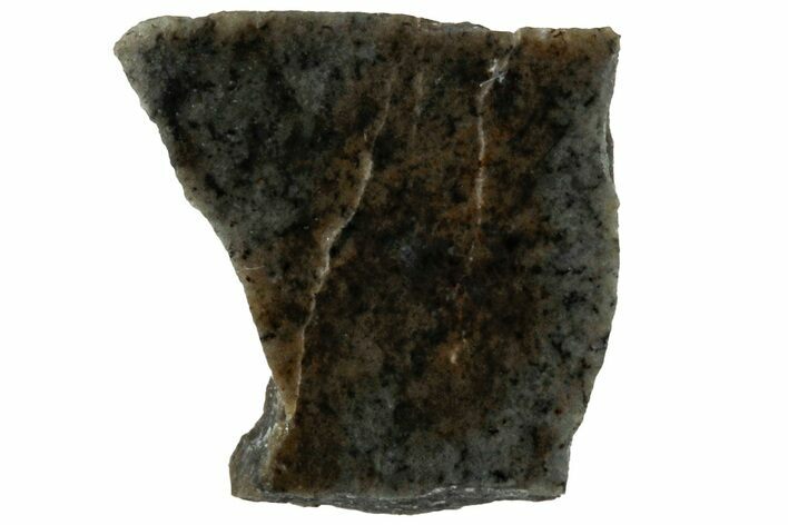 Rare, Lunar Basaltic Breccia Meteorite ( g) Slice - NWA #308447